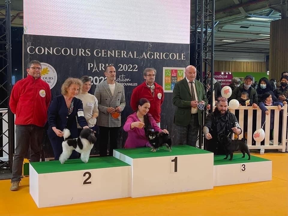 SALON DE L'AGRICULTURE 2022 : 1ère & 2ème place pour les Ours Gris